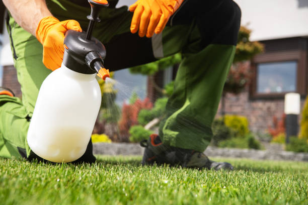 Best Exterminator Services  in Fairmount, CO