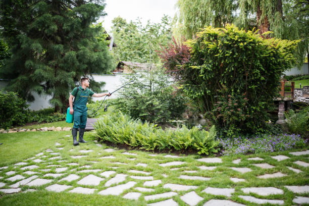 Best Best Pest Control Companies  in Fairmount, CO