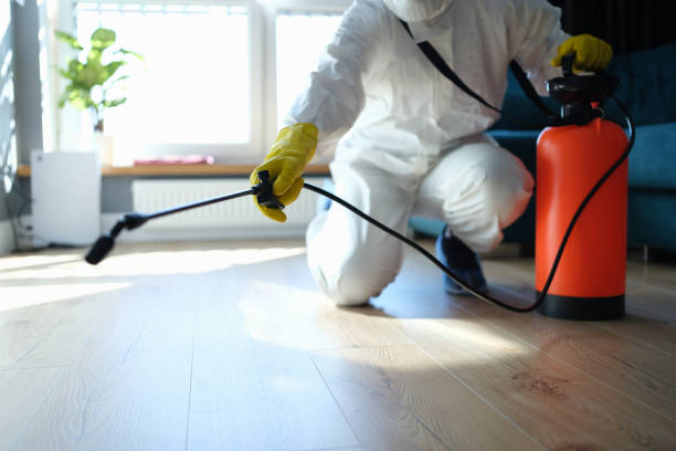 Best Best Pest Control Companies  in Fairmount, CO