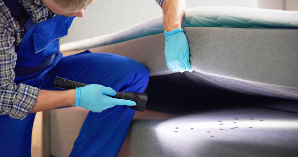 Best Flea Control Services  in Fairmount, CO